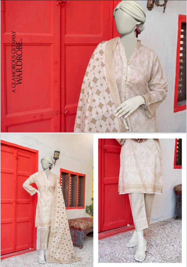 HAYA CITY TEXTILE BY BRAND'S LOVER UNSTITCHED LAWN 3PC SUIT NEW COLLECTION 2025 - Image 11