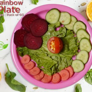 Rainbow Plate Large Pack of 3