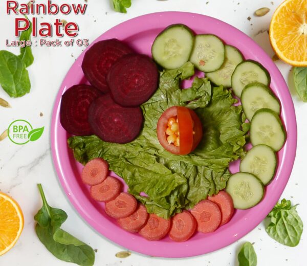 Rainbow Plate Large Pack of 3