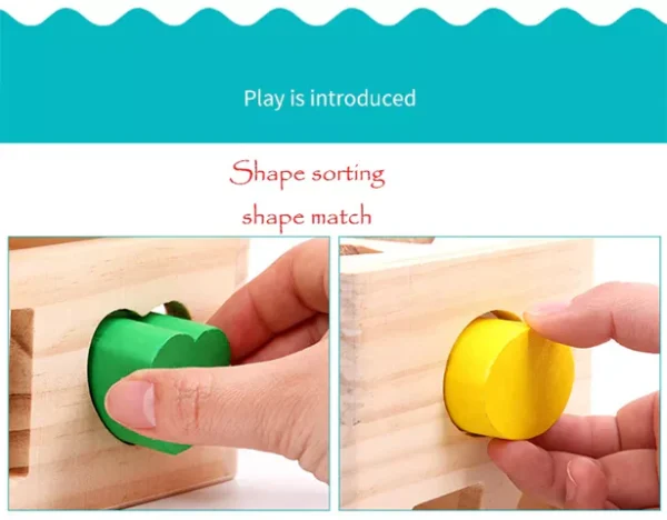 Wooden Fifteen Hole Shape Intelligence Box - Image 5