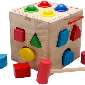 Wooden Fifteen Hole Shape Intelligence Box