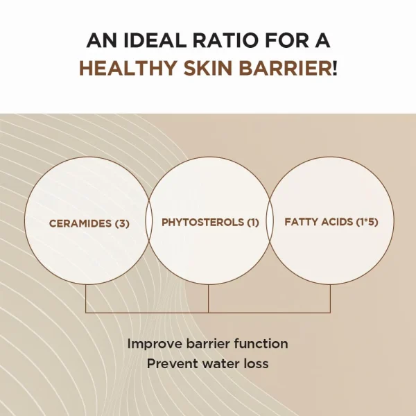 Skin1004 Madagascar Centella Probio Cica Intensive Ampoule 50ML - Image 2