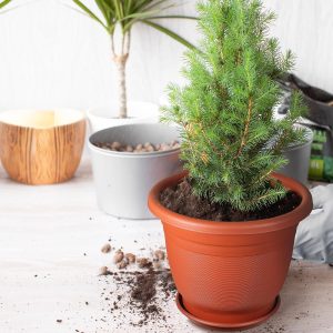 Full Plastic Flower Pots with plate B-301