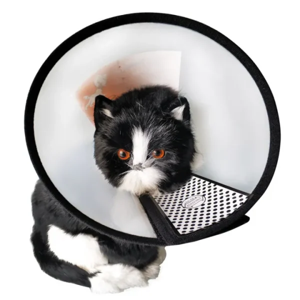 E-collar for Cats, Puppy, Elizabeth Protective Collar Wound Healing, Neck Cover (E-collar 8). - Image 3