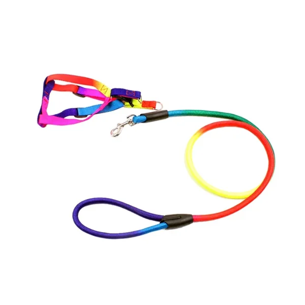 Pet Dog Leash Walking Training Leash, Cats, Dogs Harness Collar Leashes Straps (z.y 182 12MM). - Image 14