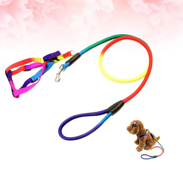 Pet Dog Leash Walking Training Leash, Cats, Dogs Harness Collar Leashes Straps (z.y 182 12MM). - Image 12