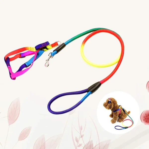 Pet Dog Leash Walking Training Leash, Cats, Dogs Harness Collar Leashes Straps (z.y 182 12MM). - Image 8