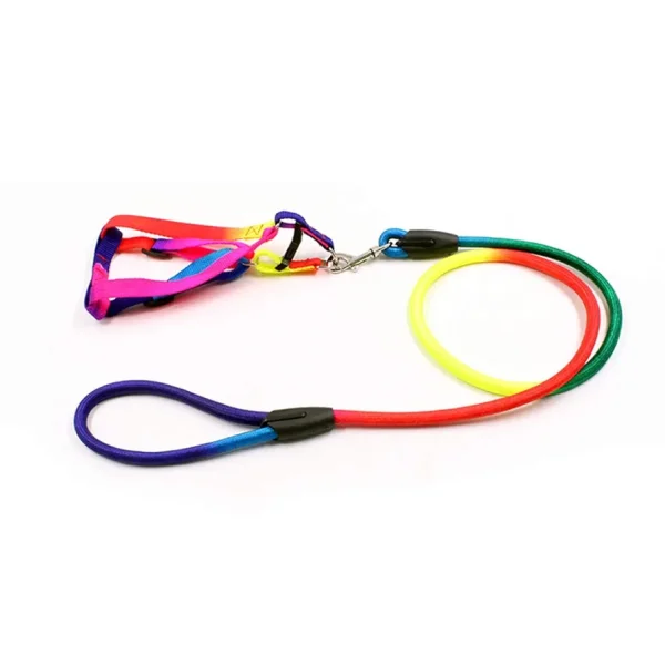 Pet Dog Leash Walking Training Leash, Cats, Dogs Harness Collar Leashes Straps (z.y 182 12MM). - Image 9