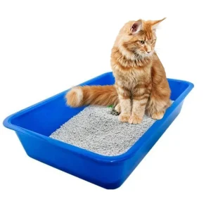 Cat Litter Tray, Durable And Washable, For Kittens And Older Cats (Small).