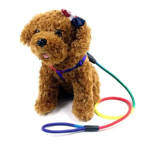 Pet Dog Leash Walking Training Leash, Cats, Dogs Harness Collar Leashes Straps (z.y 179 6 MM).