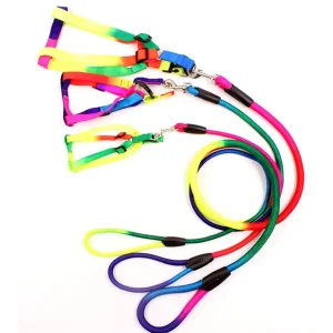 Pet Dog Leash Walking Training Leash, Cats, Dogs Harness Collar Leashes Straps (z.y 182 12MM).