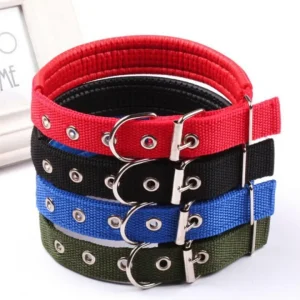 Dog Neck Belt, Soft Collar With Buckle, (z.y 122) (XXL 4 cm).