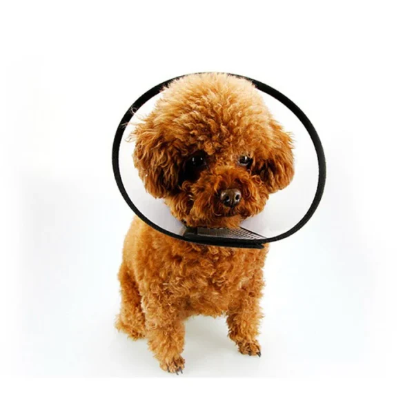 E-Collar for Cats and Dogs - Image 2