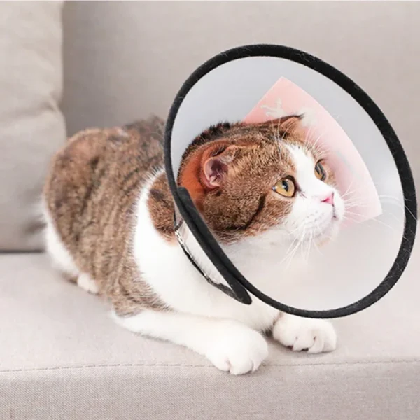 E-Collar for Cats and Dogs - Image 3