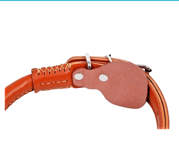 Dog Leather Collar And Leash, Round Dog Collar High Quality Sewing Strong Dog Leather Leash (Small). - Image 5