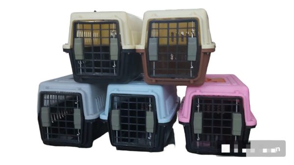Travel Carrier Box for Cats, Kittens, and Puppies, Breathable And Durable, Safe And Portable For Pets.
