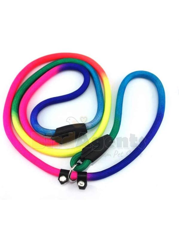 Pet Dog Leash Walking Training Leash, Cats, Dogs Harness Collar Leashes Straps (z.y 182 12MM). - Image 16