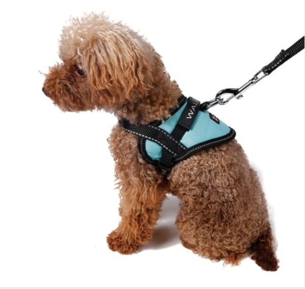 Dog Leash Chest Harness, Adjustable Chest Harness For Dogs (z.y 163 XXL). - Image 8