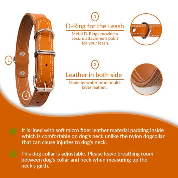 Light Brown Leather Collar Imp For Pets - Image 4
