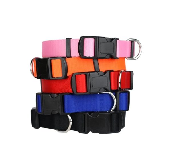 Multi Colour Soft Collar with Buckle - Image 2