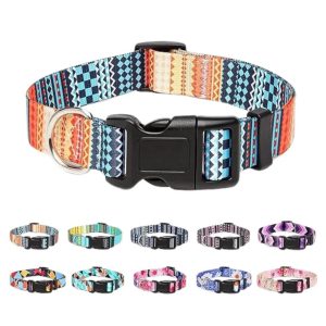 Multi Colour Soft Collar with Buckle