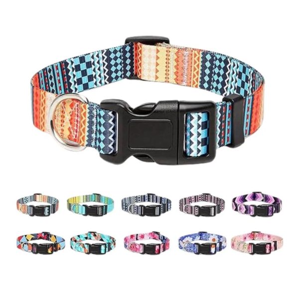 Multi Colour Soft Collar with Buckle