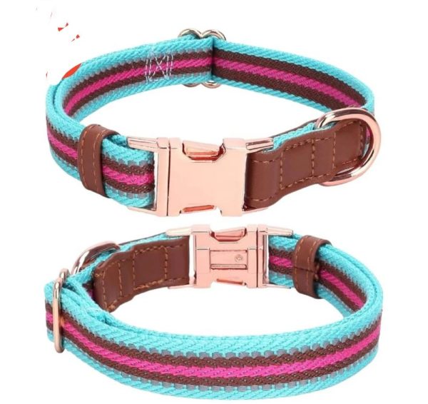 Multi Colour Soft Collar with Buckle - Image 4