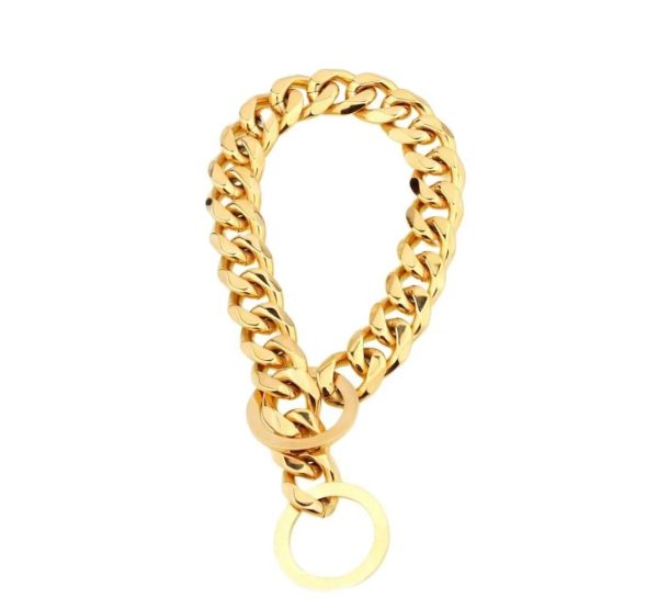 Golden Show Choke Chain For Pets - Image 2