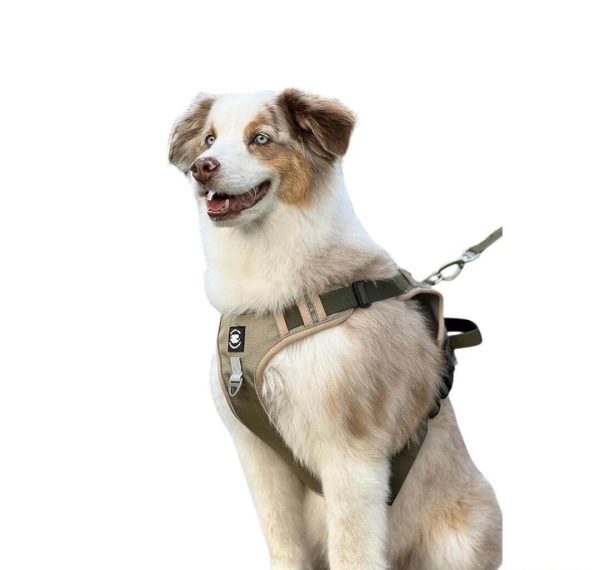 Full Body Harness For Dogs - Image 4
