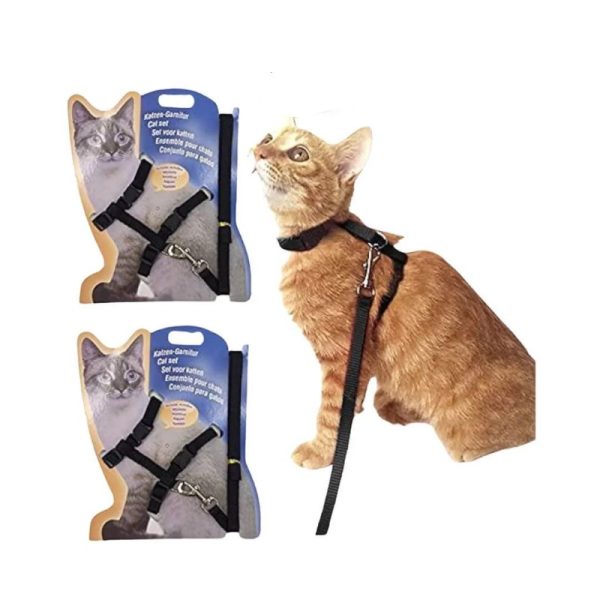 Cat Harness Printed & Simple - Image 4