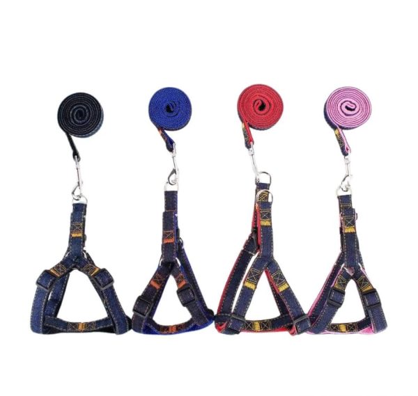 Jeans Harness For Pets - Image 5