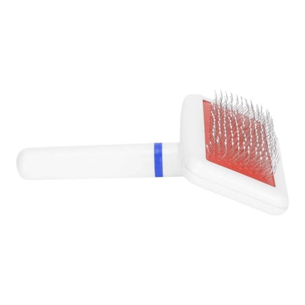 Plastic White Brush in Pack & Without Pack For Pets - Image 2