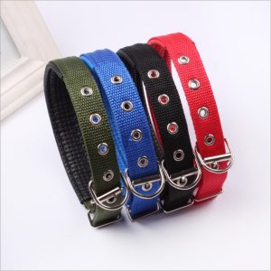 Dog Soft Collar with Buckle
