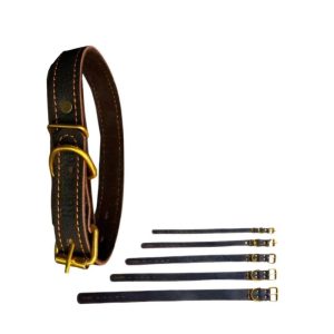 Dog Leather Collar 