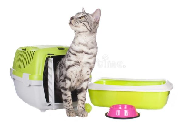 Travel Carrier Box for Cats, Kittens, and Puppies, Breathable And Durable, Safe And Portable, With Tray And Bowl. - Image 2