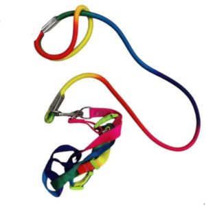Rainbow Leash With Harness Large - 12mm: CLH-01010