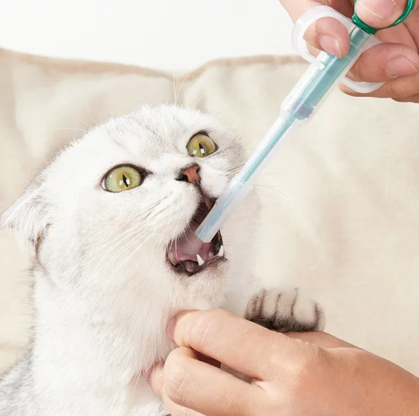 Cats Feeding Tool, Easy Pet Pill And Liquid Dispenser, Tablet Syringe For Cats And Dogs. - Image 4