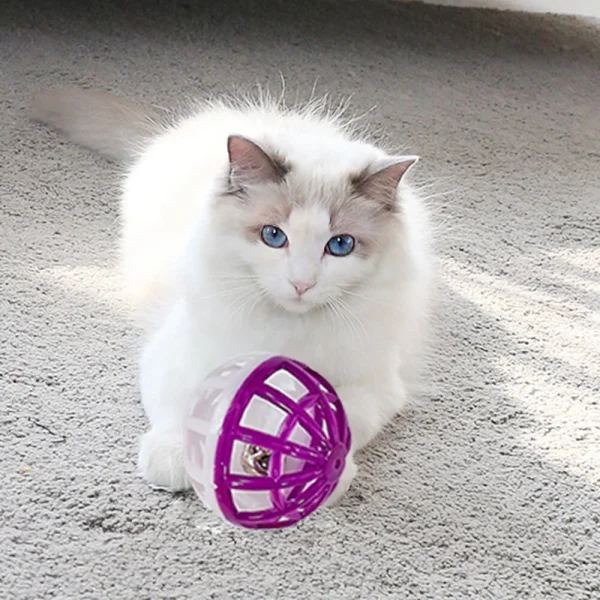 5 Pcs Pet Cat Kitten Hollow Plastic Ball With Bell, Cat Playing Toy. - Image 5