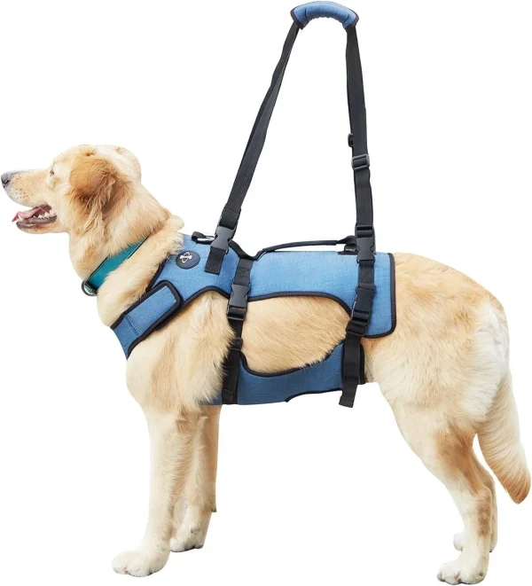 Dog Lift Harness, Pet Support And Rehabilitation Sling Lift (z.y 169 XXL). - Image 2