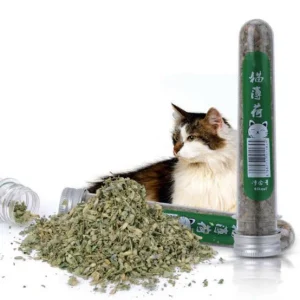 Cat Nip