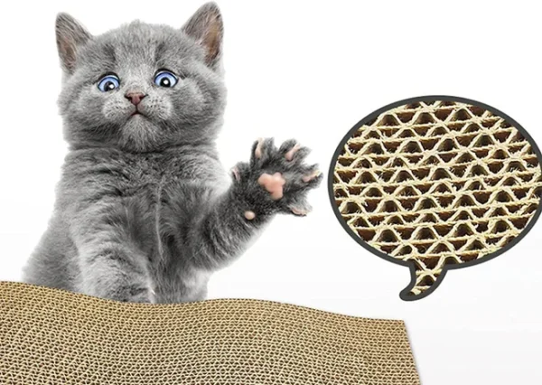 Coco Scratching Board For Cats, SPT-08059 - Image 3