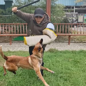 Dog Training Bite Full Arm Sleeve, DTA-10003