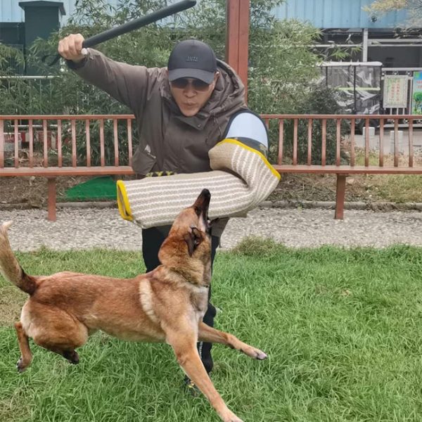 Dog Training Bite Full Arm Sleeve, DTA-10003