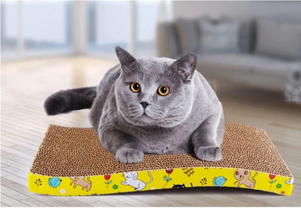 Coco Scratching Board For Cats, SPT-08059 - Image 4