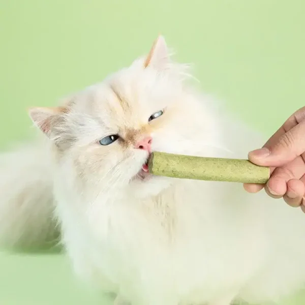 Cat Grass Teething Stick for Teeth and Hairballs, PTW-13046 (6 PCS) - Image 3