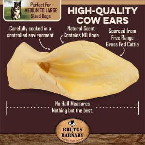 Cow Ear Dog Treat (2 or 3 Pcs Pack), PTW-13014