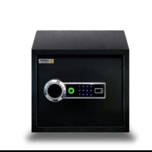Digital Finger Print Locker EBN-30