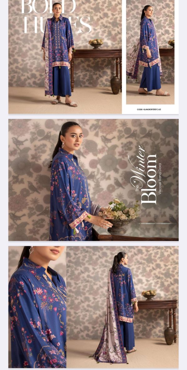 Bana Dora Viscose By Nore Gulgee (Unstitched) 3 Piece, Vol 01, New Collection 2025. - Image 5