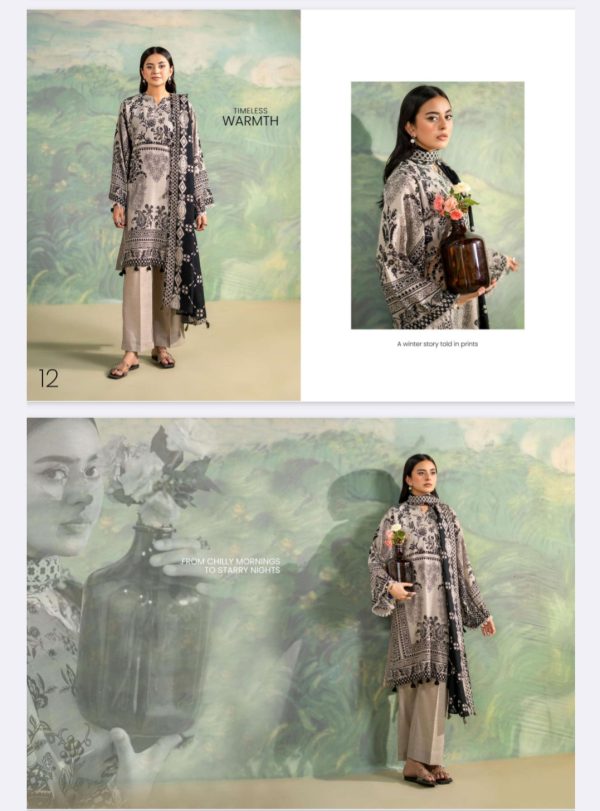 Winter Rush By Benish Gulgee, Khaddar Collection (Unstitched) 3 Piece, Vol 01, New Collection 2025. - Image 13