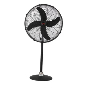 Royal Pedestal Deluxe AC/DC Fan